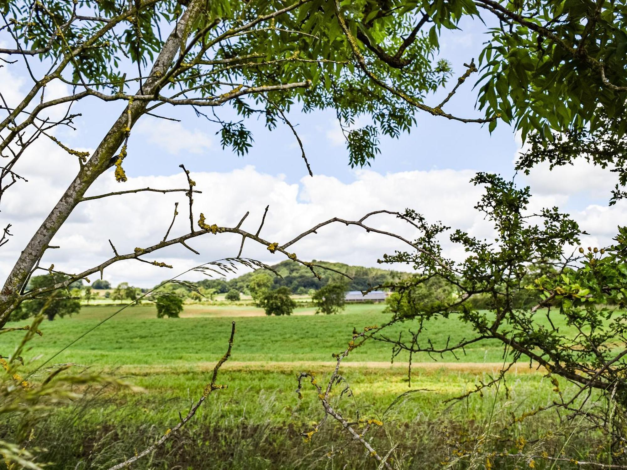 Pheasant Lodge - Uk33402 Hungerton 外观 照片